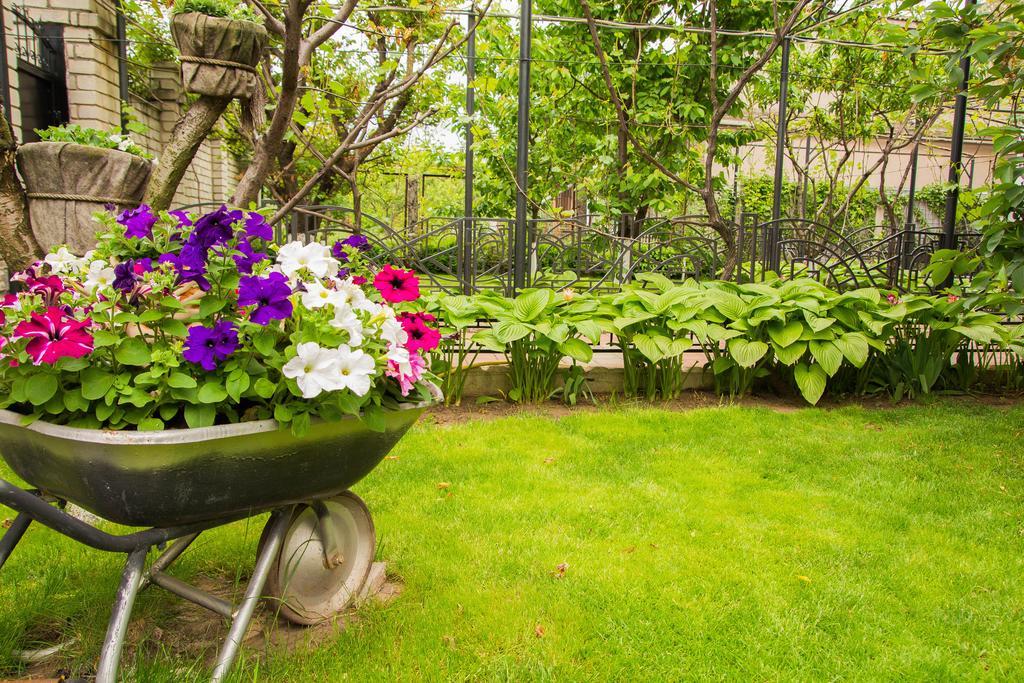 Yuzhniy Dvorik Aparthotel Odessa Ngoại thất bức ảnh