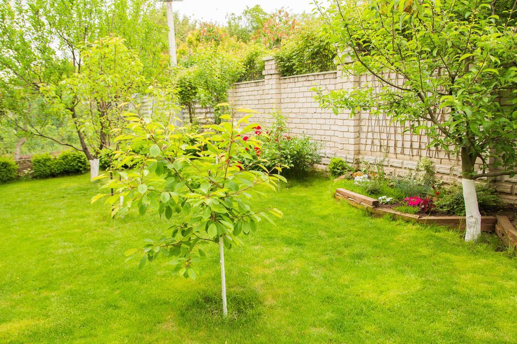 Yuzhniy Dvorik Aparthotel Odessa Ngoại thất bức ảnh